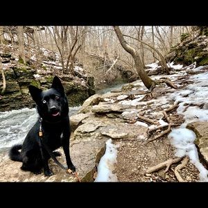 Meet your Posher, Trevor